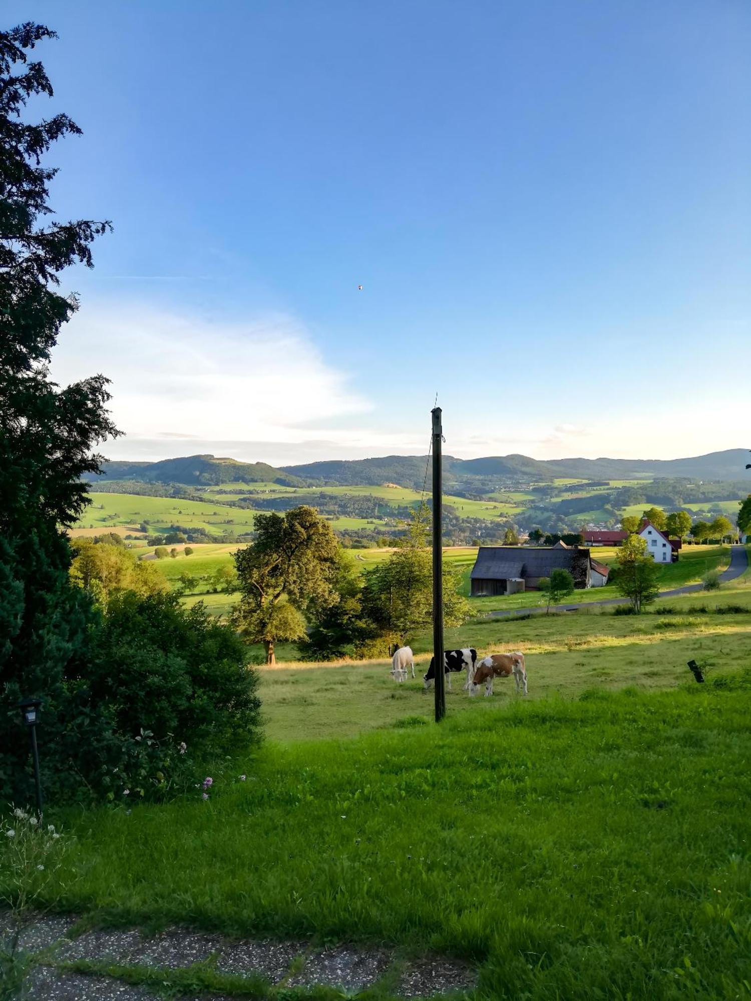 Ferienwohnung Rhoenpanorama Gersfeld Exteriör bild